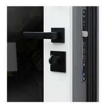 Входная стальная дверь для квартиры DK-0208 с зеркалом детали ручка внутри